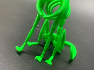 Stylized Cat Skeleton