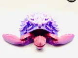 Cute Articulated Turtles #1 - Three Models - Swappable Shell-3