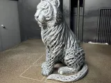 Tiger-3