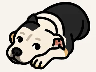 SnapForm Project
