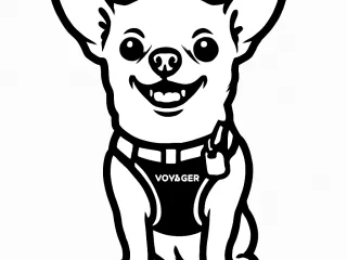 SnapForm Project