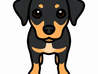 SnapForm Project