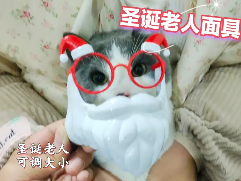 Santa Pet Mask