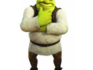 SHEREK DESCONFIADO