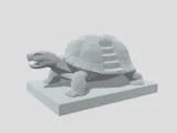 Staircase Turtle-0