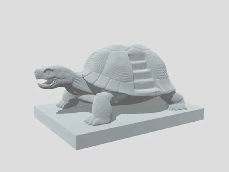 Staircase Turtle