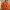Decoración de calabaza en espiral