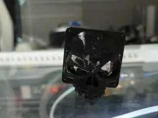 Fan skull