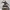 Jurchen_18