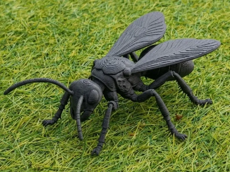 Avispa caza tarántulas – Insecto detallado y realista