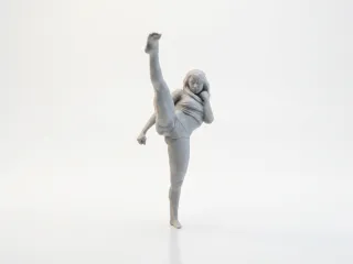 Karate Girl Martial Arts Figurine 3D Printable
