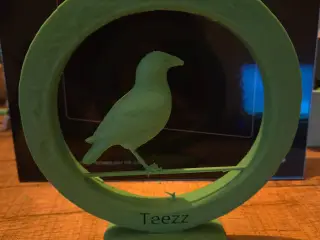 Spring bird