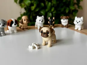 Pug