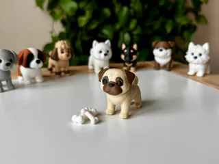 Pug