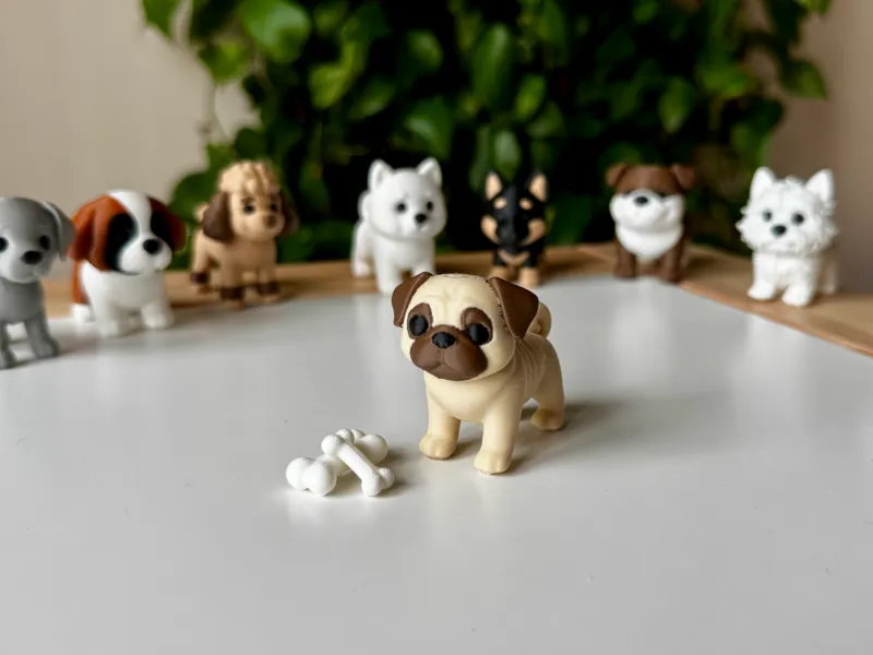 Pug