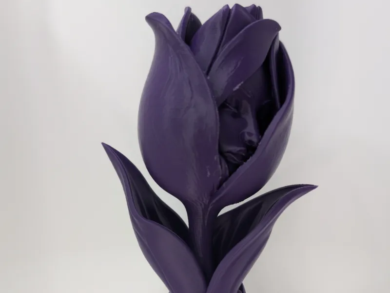 The Unspoken Tulip 