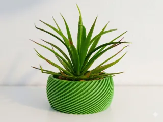 Plant Pot