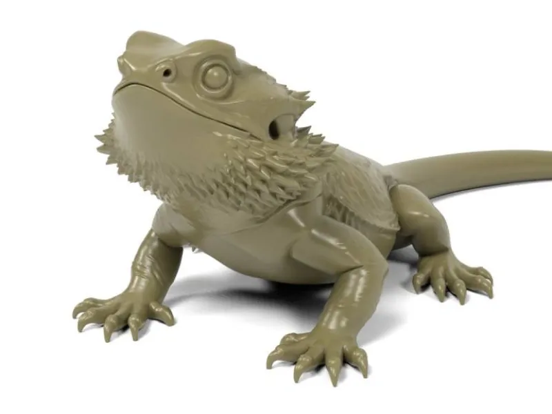 Dragão-barbudo