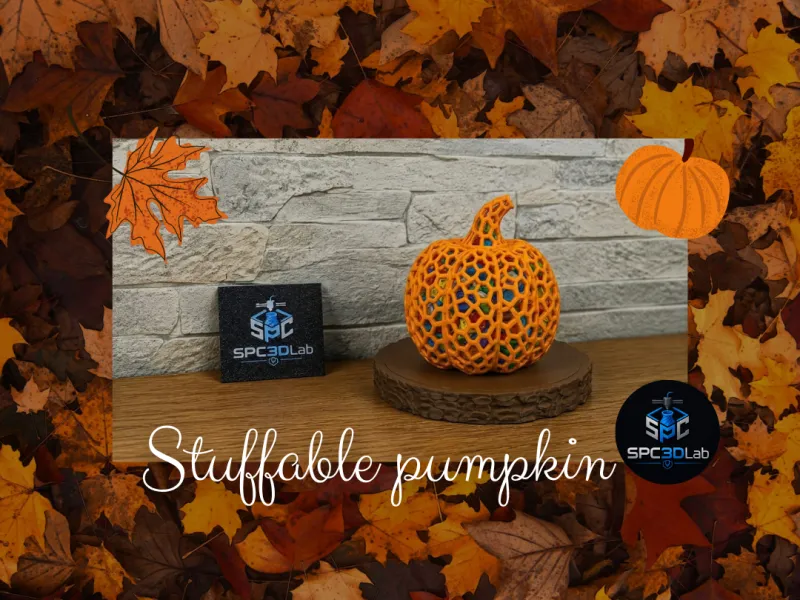 Zucca Cava Decorativa per Spurgo