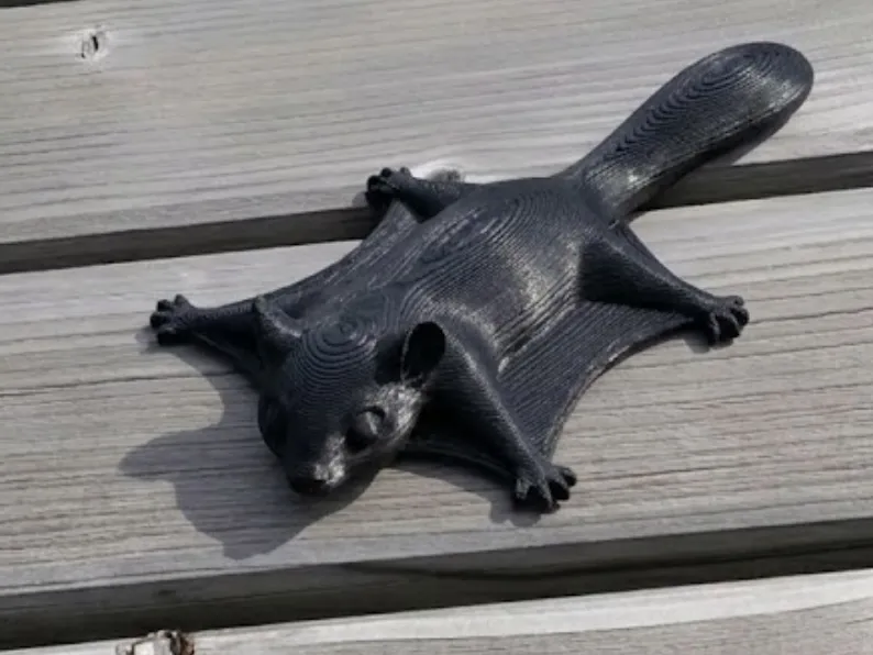 Flying Squirrel - Realistic Model