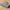 Combat Vehicle 90