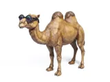 Funny camel-0