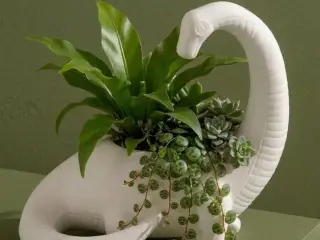 Dinosaur planter