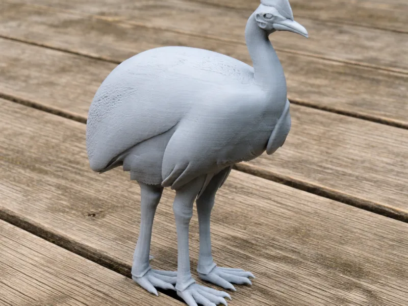 Cassowary