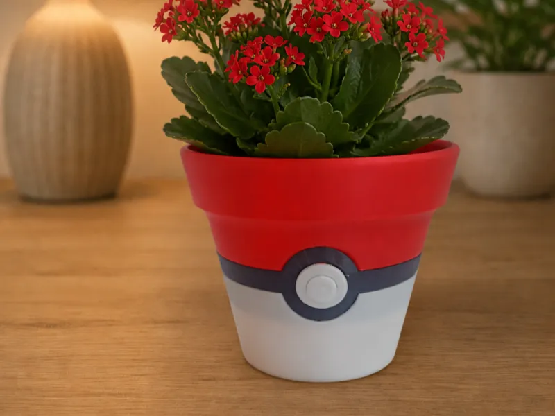 POT DE FLEURS EN TERRE CUITE POKÉMON NOAMS