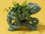 Lizard Planter Pot Decorative Animal Succulent Holder Home D-0