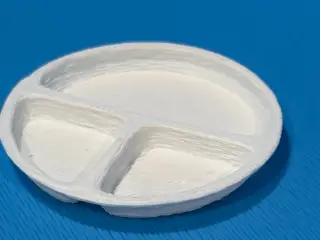 Divided Plate with 3 compartments