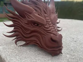 Dragon Head