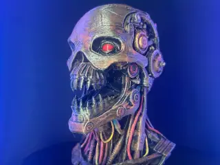 Cyborg