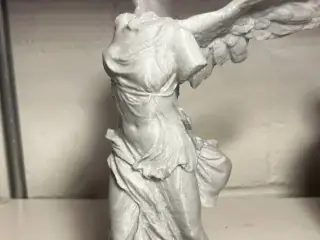 Victoria alada