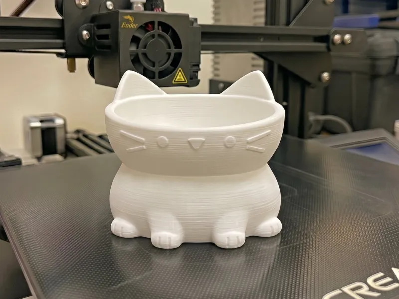 Cat feeder