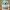 TAZZA BULBASAUR - ESPLOSO - NOAMS