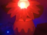 Daisy Lamp-0