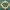 Bordure de cadre photo en losange ornée de style baroque rococo
