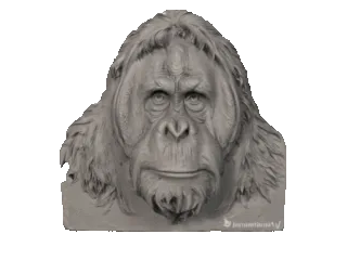 Orangután Decoration