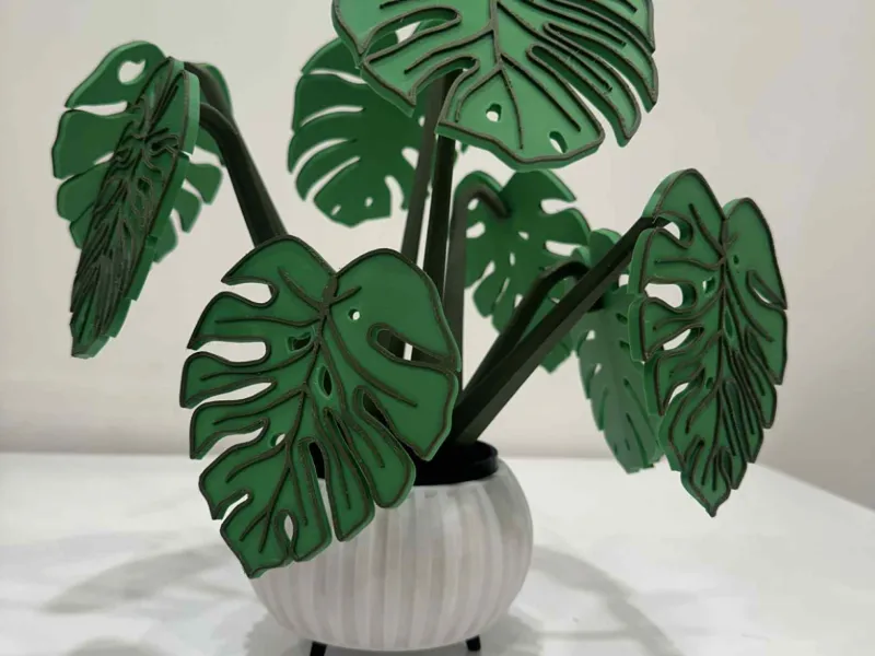 Monstera Onderzetters