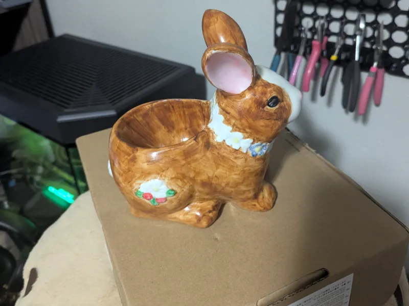 ウサギのボウル
