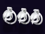 Chastity Cage Strigiformes-0
