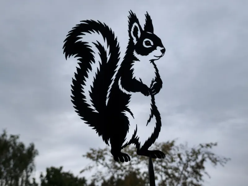 Cute Squirrel Wall Art Decor