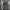 spiderman BW V2 Hueforge 200x200