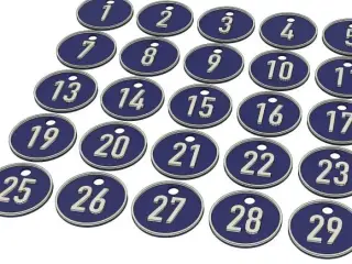 Numbered keychains predefined from 1 to 300 and empty tag