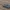 M41 Walker Bulldog tank
