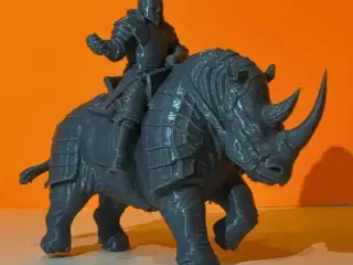 rhinocerontis