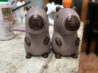 Cute Capybara