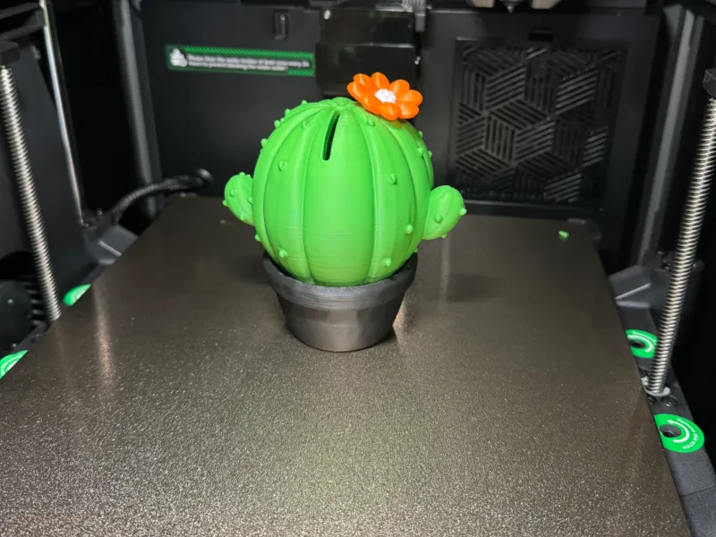 Hucha de cactus magnética