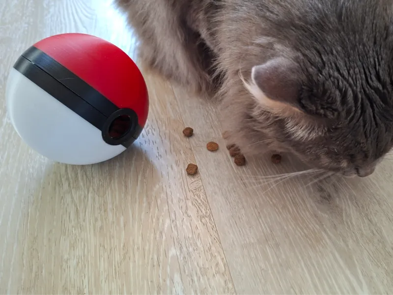 Cat food dispenser toy – Jeu distributeur de croquettes pour